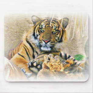 Tapis De Souris Tigre, Recherche_