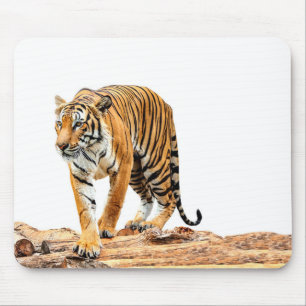 Tapis De Souris Tigre sauvage sur un journal