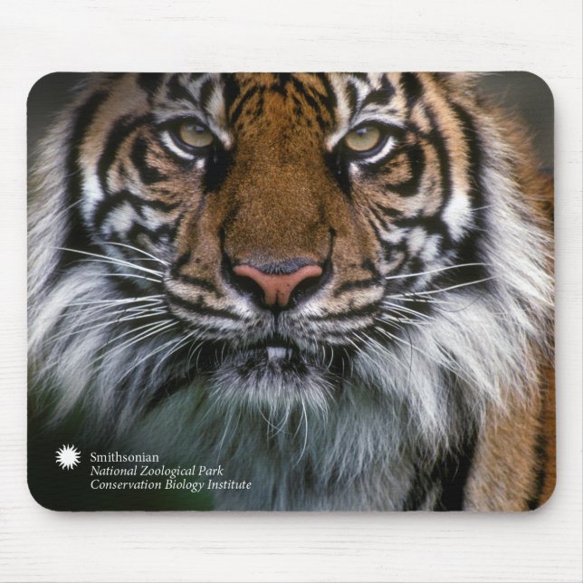 Tapis De Souris Tigre Soyono de Smithsonien | Sumatran (Devant)