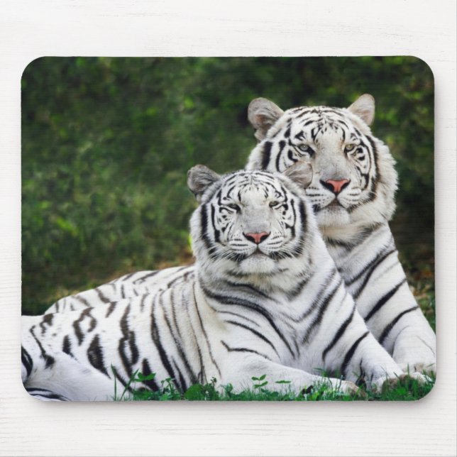 Tapis De Souris Tigres (Devant)