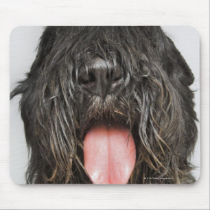 Tapis De Souris Tir de studio