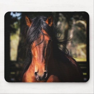Tapis De Souris Tir principal d'Indico VII