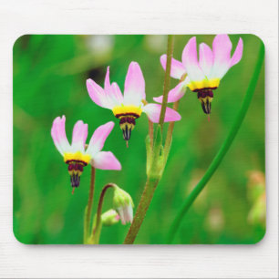 Tapis De Souris Tir sur des Fleurs sauvages de Star dans le parc M