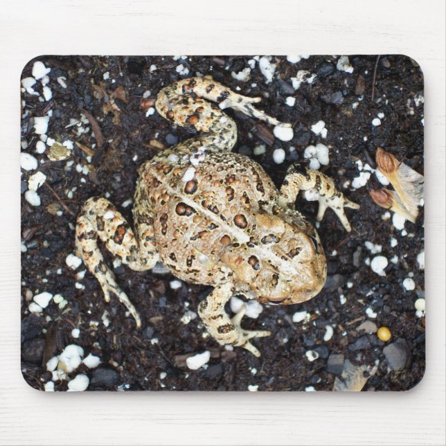 Tapis De Souris Toad (Devant)