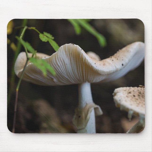 Tapis De Souris Toadstool parapluie (Devant)