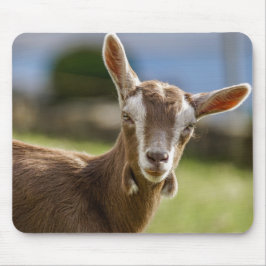 Tapis De Souris Toggenburg Dairy Goût Kid