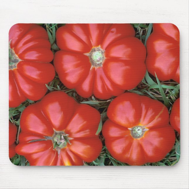 Tapis De Souris tomatoes-Edit-Edit_Zazzle de P1950B_Italian (Devant)