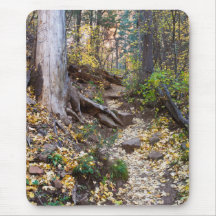 Tomber sur le sentier West Fork