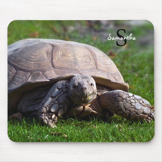 Tapis de souris Tortoise (Devant)