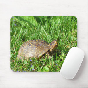 Tapis De Souris Tortue