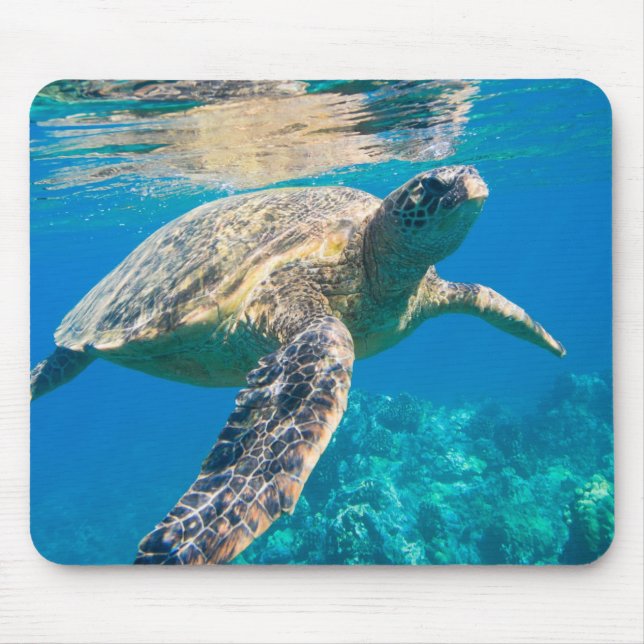 Tapis De Souris Tortue de mer (Devant)