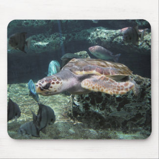 Tapis De Souris Tortue de mer