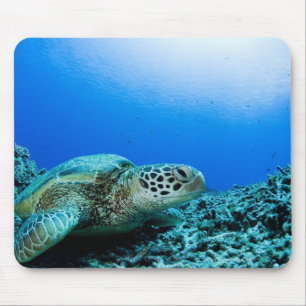 Tapis De Souris Tortue de mer se reposant sous l'eau