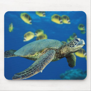Tapis De Souris Tortue de mer verte