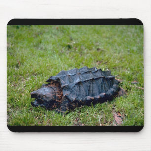 Tapis De Souris Tortue de rupture d'alligator