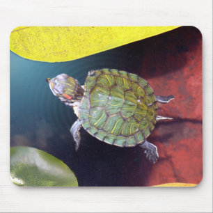 Tapis De Souris Tortue Mousepad de natation