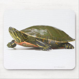 Tapis De Souris Tortue peinte occidentale (bellii de picta de