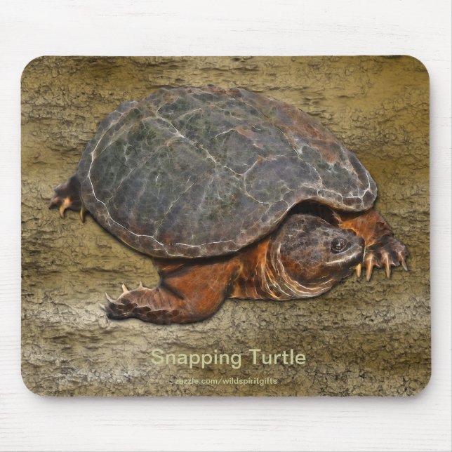 Tapis De Souris Tortue serpentine Terrapin-lover Cadeau (Devant)