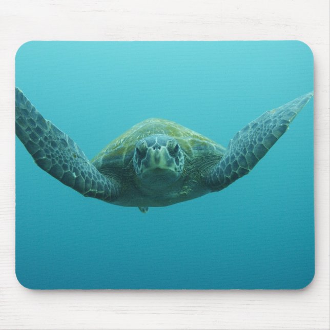 Tapis De Souris Tortue verte (Chelonia mydas agassisi), Centre (Devant)