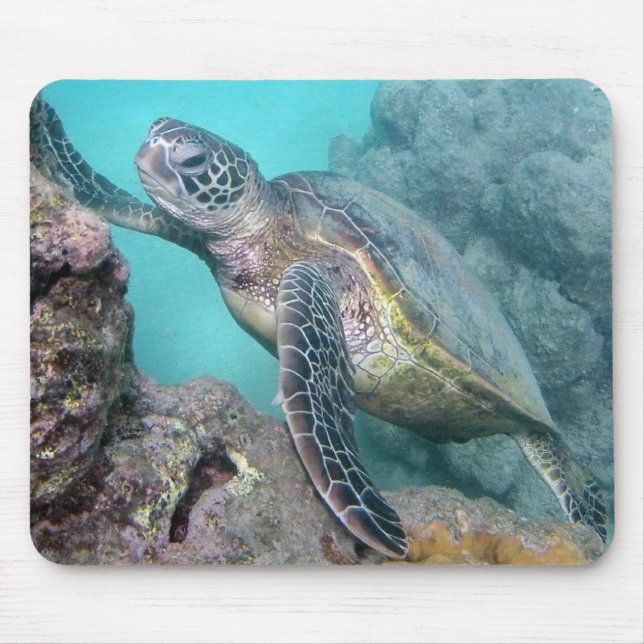 Tapis De Souris Tortue verte d'Hawaii (Devant)
