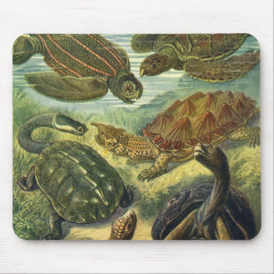 Tapis De Souris Tortues et tortues terrestres vintage par Ernst Ha