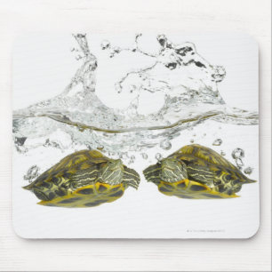 Tapis De Souris Tortues rouges de glisseur