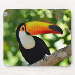 Tapis De Souris Toucan