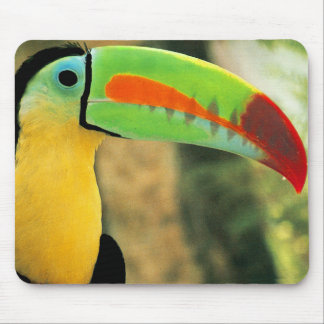 Tapis De Souris Toucan Mousepad