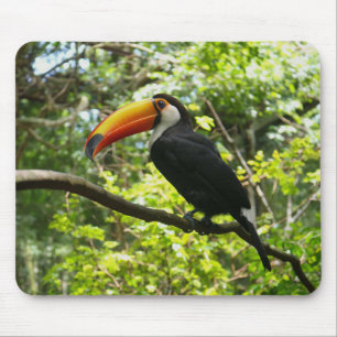 Tapis De Souris toucan, oiseau, exotique