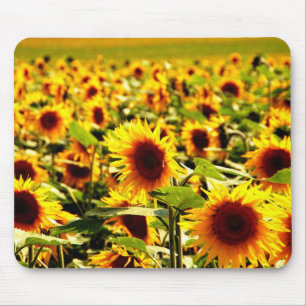 Tapis De Souris tournesol