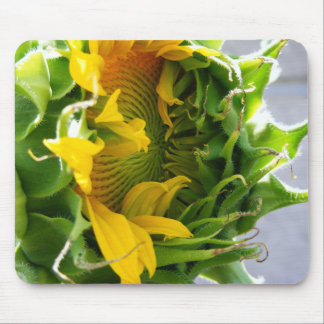 Tapis De Souris Tournesol