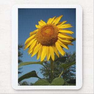 Tapis De Souris Tournesol du matin