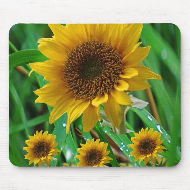 Tapis De Souris Tournesol Mousepad (Devant)