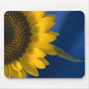 Tapis De Souris Tournesol sur le bleu