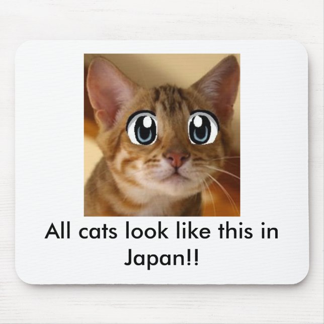 Tapis De Souris Tous les chats ressemblent à ceci au Japon ! ! - (Devant)