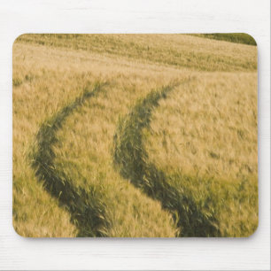 Tapis De Souris Traces de tracteurs à travers le blé, Toscane, Ita