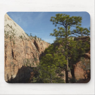 Tapis De Souris Trail to Angels Landing in Zion National Park