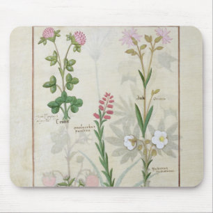 Tapis De Souris Trèfle violet et Onobrychis et Hyssopus de l'Aube