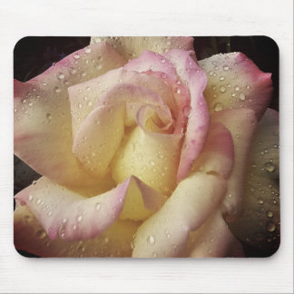 Tapis De Souris trempé de rosée