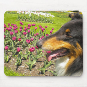 Tapis De Souris Tri Collie N the Tulips Mouse Pad