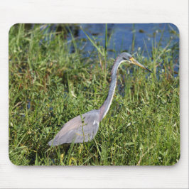 Tapis De Souris Tricolored Heron