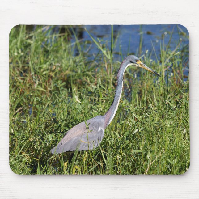 Tapis De Souris Tricolored Heron (Devant)