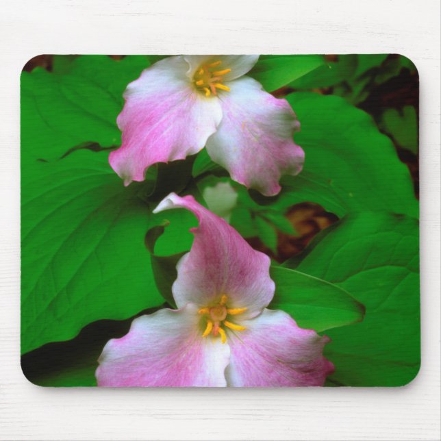 Tapis De Souris Trillium Fleur sauvage (Devant)