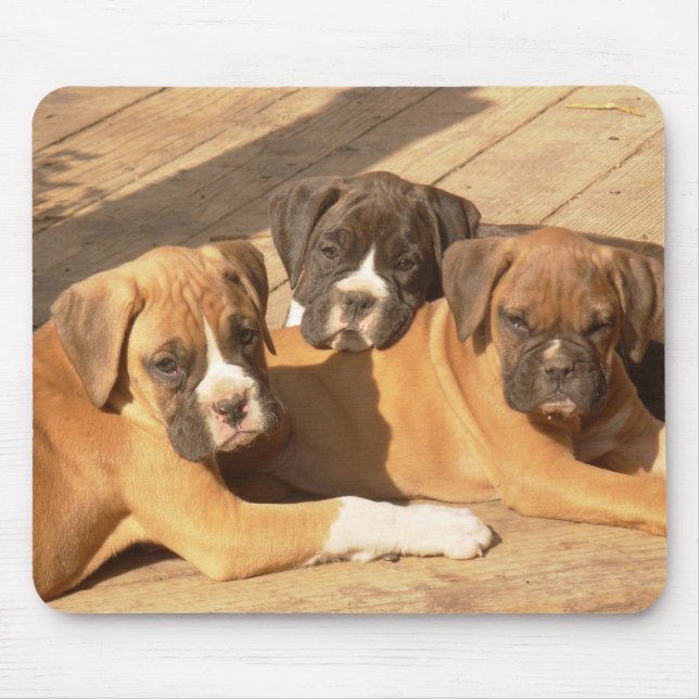 Tapis De Souris Trio de chiots de boxe mousepad (Devant)