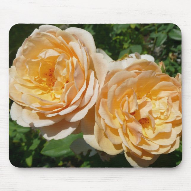 Tapis De Souris Trio de Pêche Rose Floral (Devant)