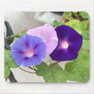 Tapis De Souris Trio de Volubilis en Gros Plan