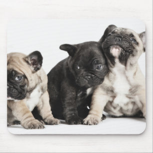 Tapis De Souris Trois Carlins