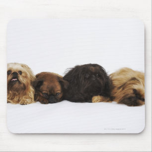 Tapis De Souris Trois chiens de Pekingese et carlin simple se