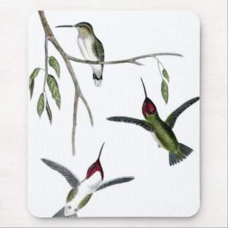 Tapis De Souris Trois colibris verts