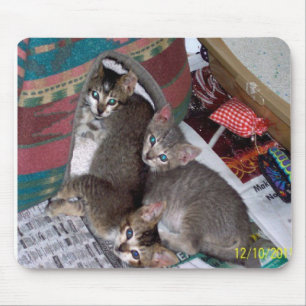 Tapis De Souris Trois filles